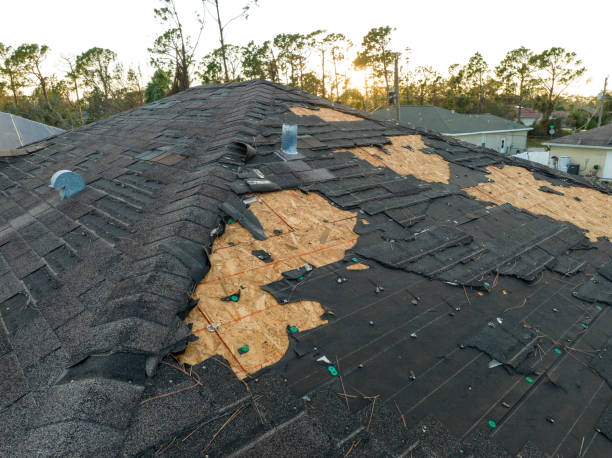 Best Chimney Flashing Repair  in Ellisburg, NJ