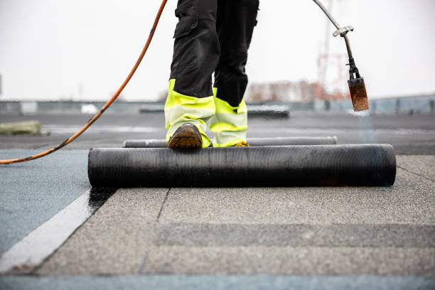 Best Roof Replacement  in Ellisburg, NJ