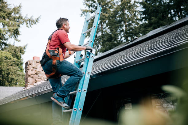 Best Gutter Installation and Repair  in Ellisburg, NJ